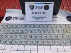 Fuga, salto al vacío y dinero sin justificar en Villa Lugano