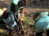 Vecinos se reunieron para sumar especies nativas en un espacio ambiental de Chacarita