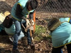 Vecinos se reunieron para sumar especies nativas en un espacio ambiental de Chacarita