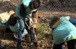 Vecinos se reunieron para sumar especies nativas en un espacio ambiental de Chacarita