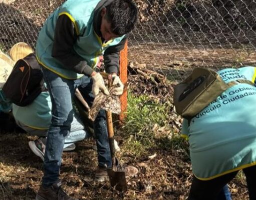 Vecinos se reunieron para sumar especies nativas en un espacio ambiental de Chacarita