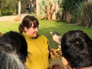 El Ecoparque presenta una agenda especial para disfrutar en familia