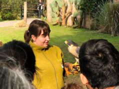 El Ecoparque presenta una agenda especial para disfrutar en familia