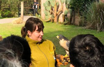 El Ecoparque presenta una agenda especial para disfrutar en familia