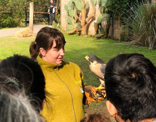El Ecoparque presenta una agenda especial para disfrutar en familia