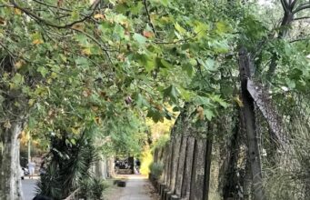 Agronomía, el barrio porteño donde los espacios verdes cambian el ritmo de la Ciudad
