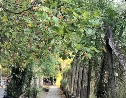 Agronomía, el barrio porteño donde los espacios verdes cambian el ritmo de la Ciudad