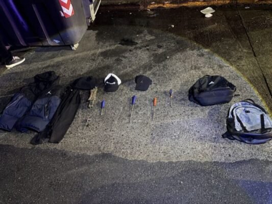 La-Policia-desbarato-a-una-banda-de-hombres-arana-en-Villa-Urquiza-scaled-1