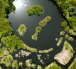 Científicos del Conicet crean el mapa más completo de 133 ecosistemas argentinos para la protección ambiental