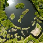 Científicos del Conicet crean el mapa más completo de 133 ecosistemas argentinos para la protección ambiental