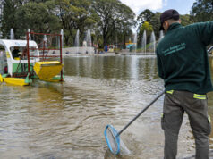 Día Mundial de los Lagos: cómo se cuidan los espejos de agua de la Ciudad