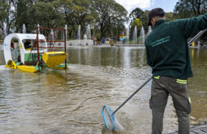 Día Mundial de los Lagos: cómo se cuidan los espejos de agua de la Ciudad