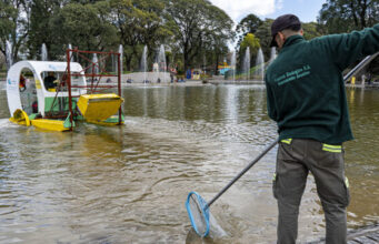 Día Mundial de los Lagos: cómo se cuidan los espejos de agua de la Ciudad