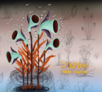 Dionée – Mille-feuilles hacen jazz/post rock de vanguardia francocanadiense