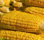 Los granos resisten la baja internacional: en Chicago soja y maíz cayeron 5%, pero el mercado argentino se sostuvo