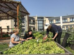 Cómo aprender a producir alimentos en la Ciudad
