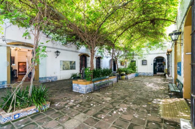 El-jardin-del-Museo-Saavedra-se-llena-de-actividades