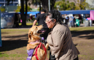 Plaza Arenales será sede de una jornada de adopción de mascotas