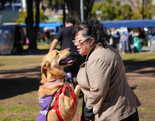 Plaza Arenales será sede de una jornada de adopción de mascotas