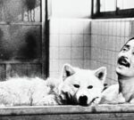 Ultimos dìas del ciclo de cine japonés gratuito en Vicente López
