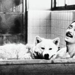 Ultimos dìas del ciclo de cine japonés gratuito en Vicente López