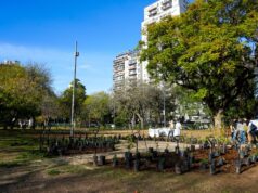 Plaza Irlanda sumó un bosque urbano en homenaje a donantes
