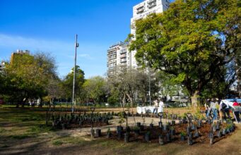 Plaza Irlanda sumó un bosque urbano en homenaje a donantes