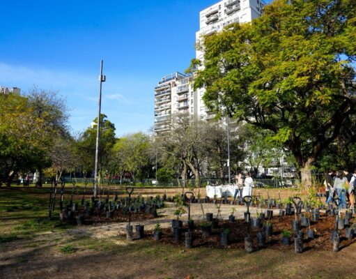 Plaza Irlanda sumó un bosque urbano en homenaje a donantes