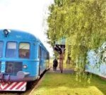 La Primavera florece en Cazòn, con la fiesta más verde de Buenos Aires