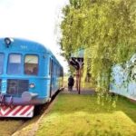La Primavera florece en Cazòn, con la fiesta más verde de Buenos Aires