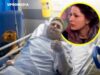 Un hombre naciò sin pene y transcurriò 40 años ocultàndolo