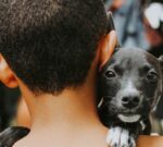 El 57% de los hogares no tiene hijos, y el 75% adoptò una mascota