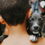 El 57% de los hogares no tiene hijos, y el 75% adoptò una mascota